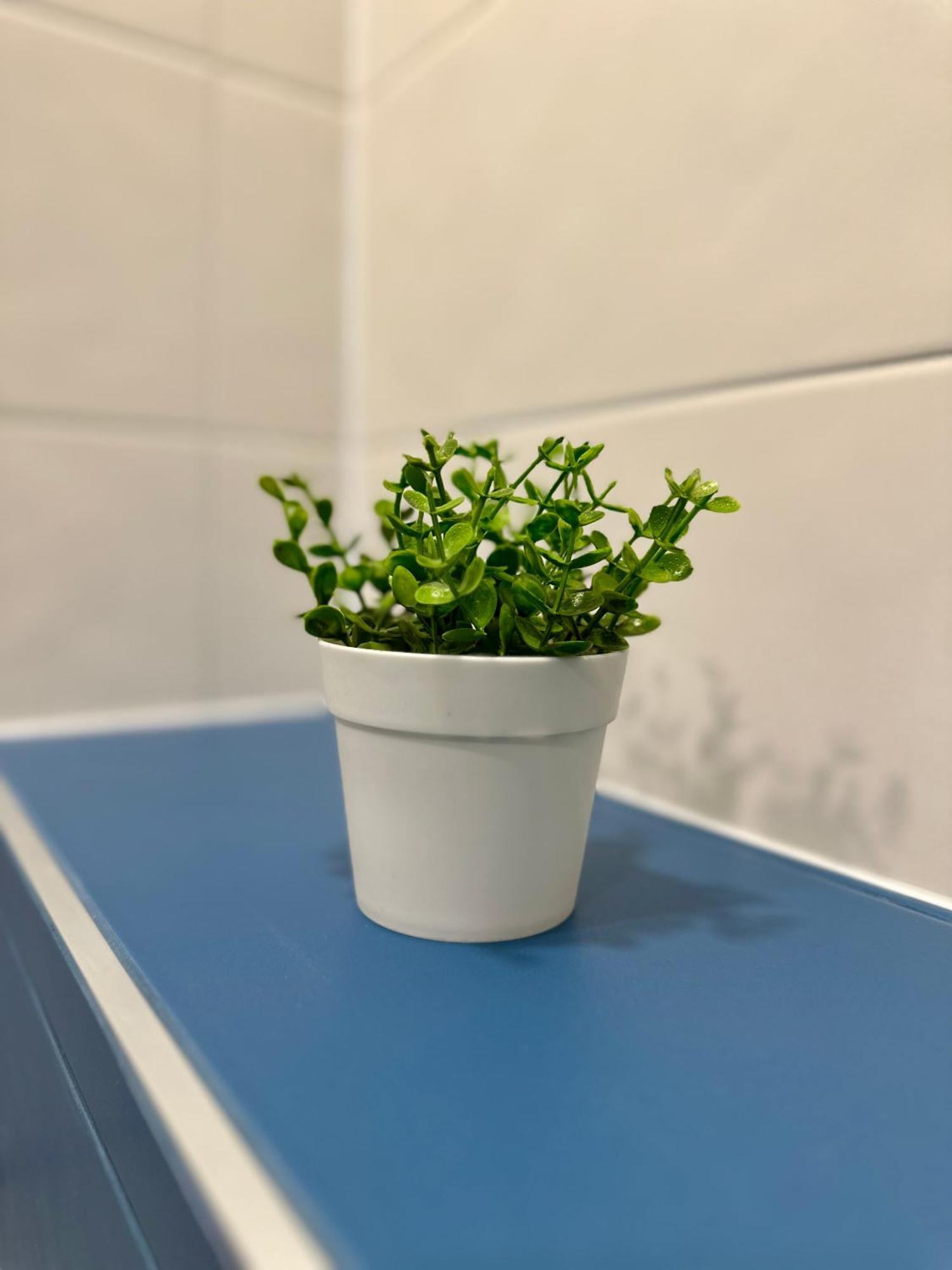 Noble House Comfort Place София Екстериор снимка